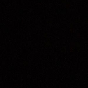 Meet your Posher, Barry